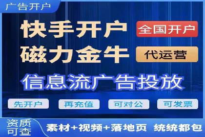 百度竞价代理的运营策略与成功案例分析